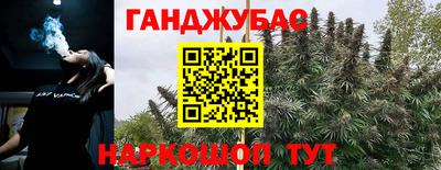 герыч Кингисепп