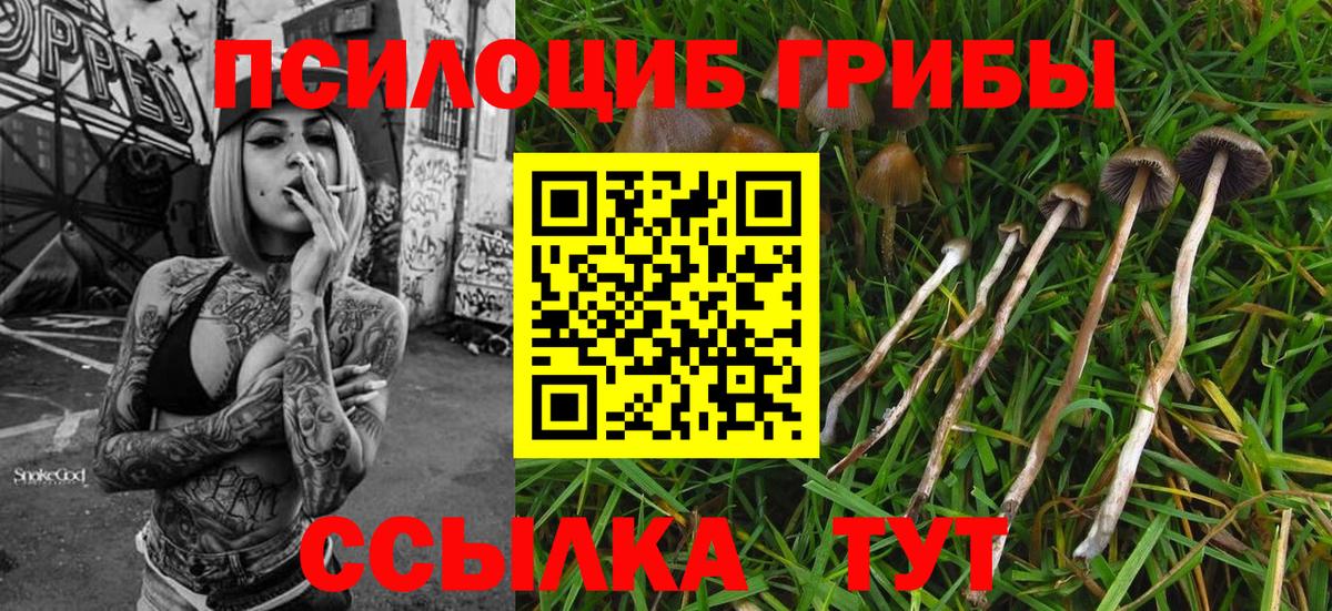 Янаул  Псилоцибиновые грибы Psilocybine cubensis  Псилоцибиновые грибы Psilocybine cubensis  Вход с VPN 