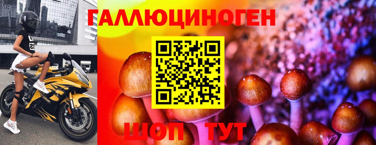 Псилоцибиновые грибы Psilocybe Янаул